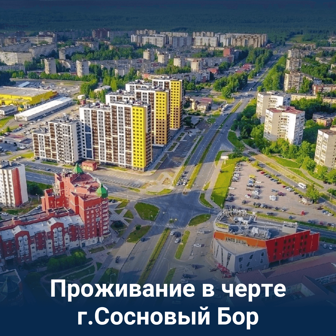 Превью 5